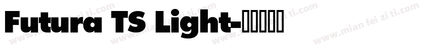 Futura TS Light字体转换